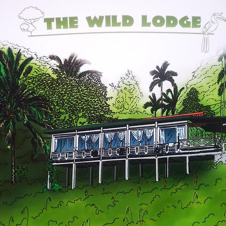 Wild Lodge Taman Negara Kuala Tahan Extérieur photo