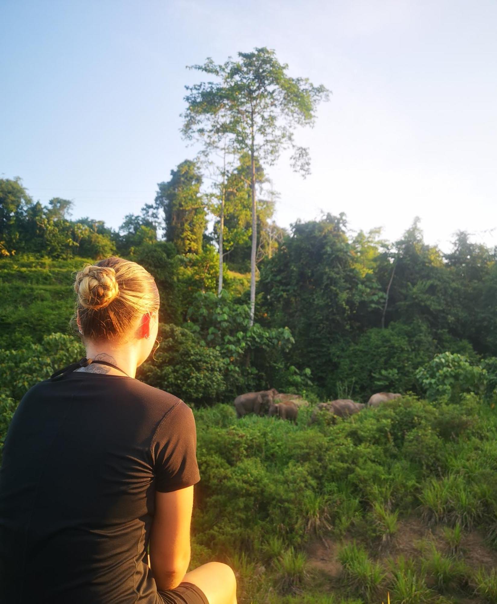 Wild Lodge Taman Negara Kuala Tahan Extérieur photo